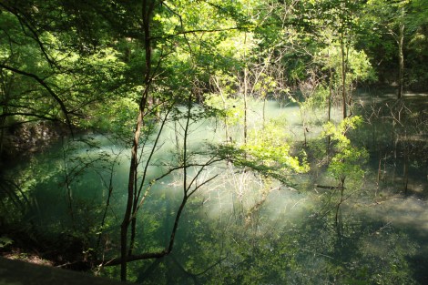 Photography by Stepfanie Lam