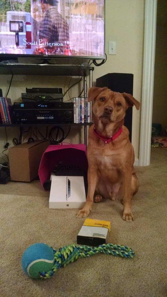 IMG_20141028_193821770