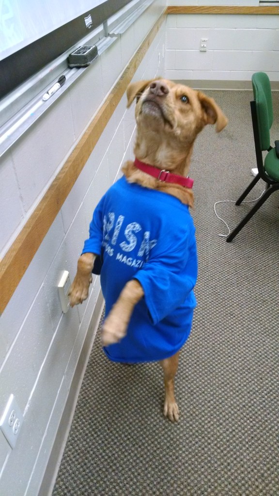 IMG_20141112_193532737