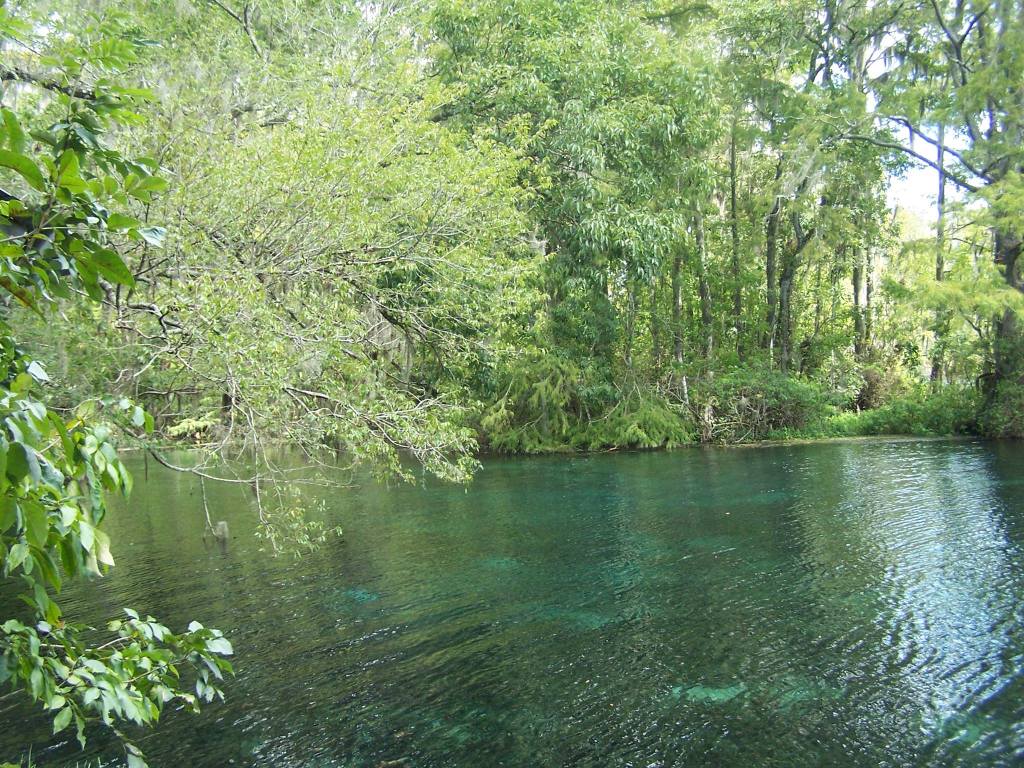 Silver Springs: The Best of Old&nbsp;Florida