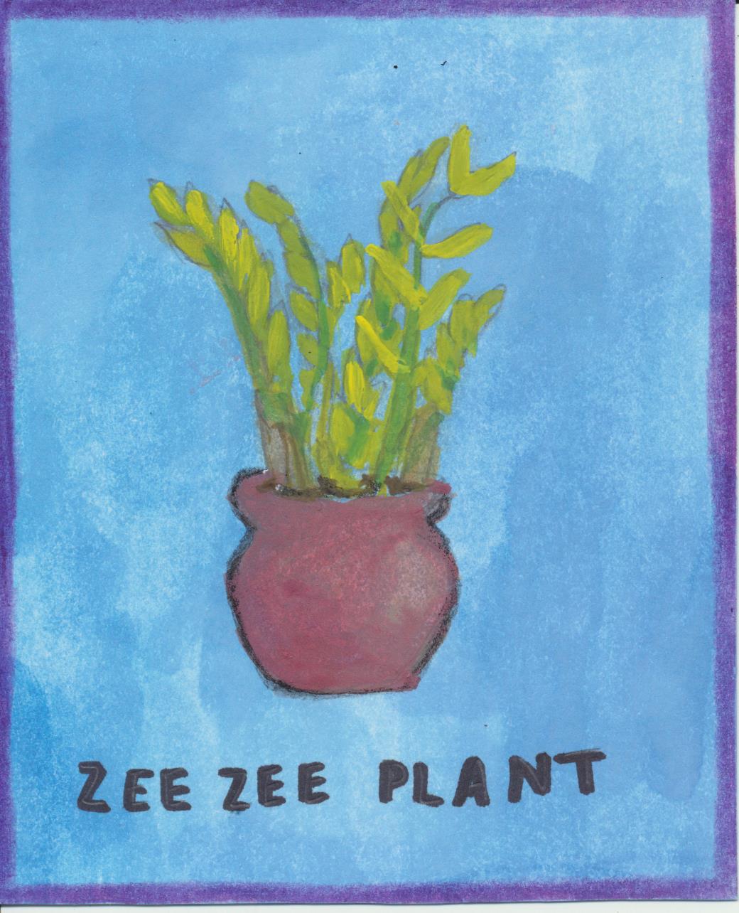 Zeezee plant 001