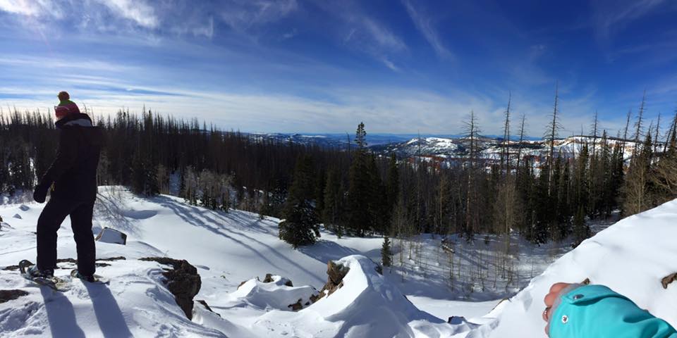 Partners in the&nbsp;Parks