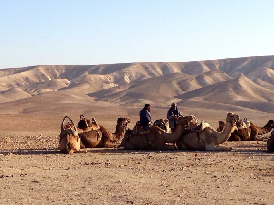 The Great “Gap”-sy