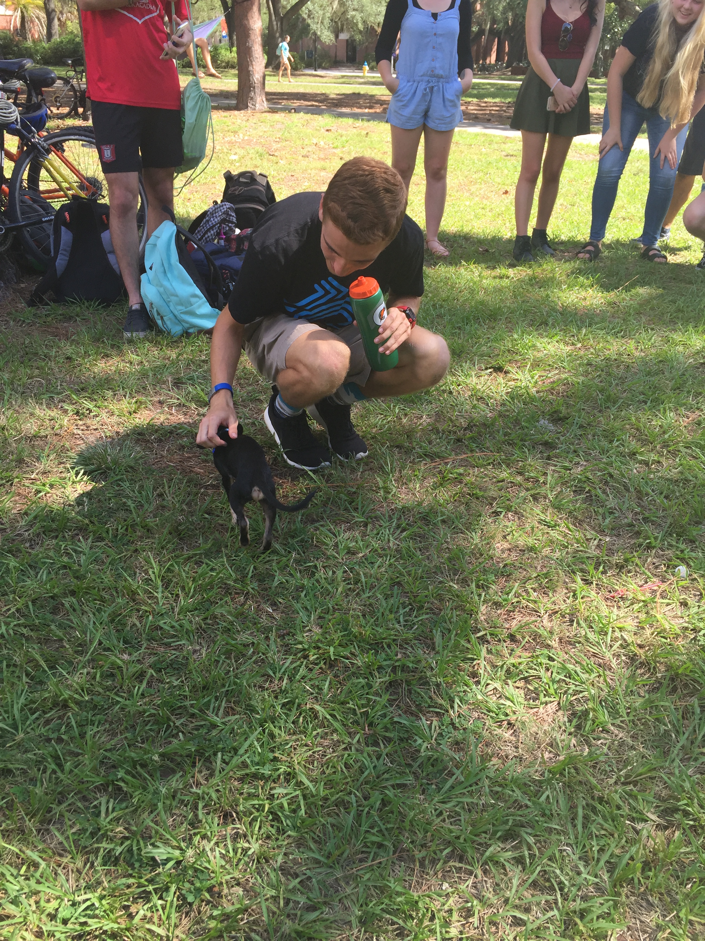 le-grand-pets-cheerio