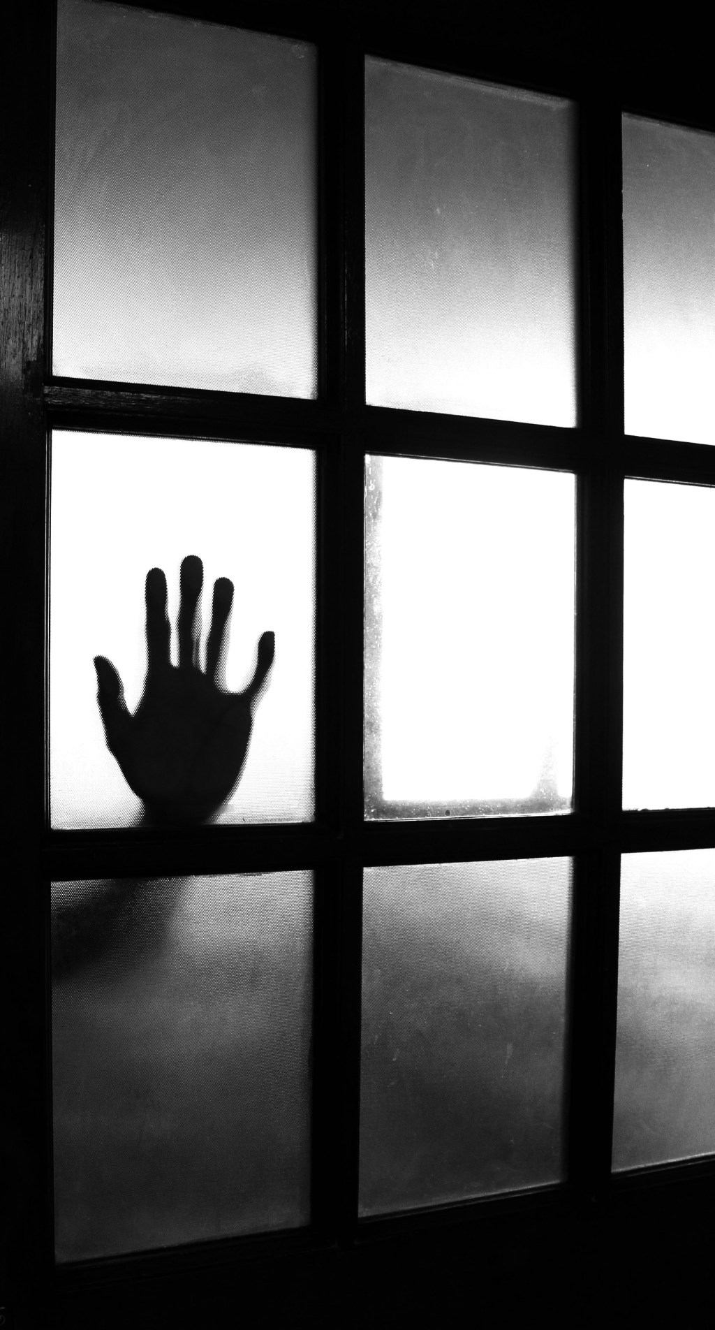 Unknown Gator ghost&nbsp;stories