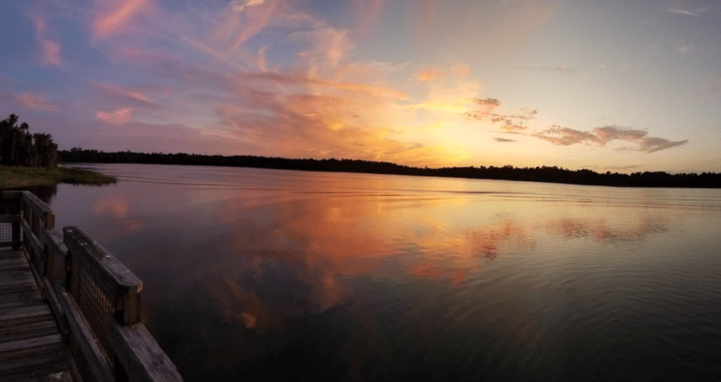 How to make the most of your time in&nbsp;Gainesville