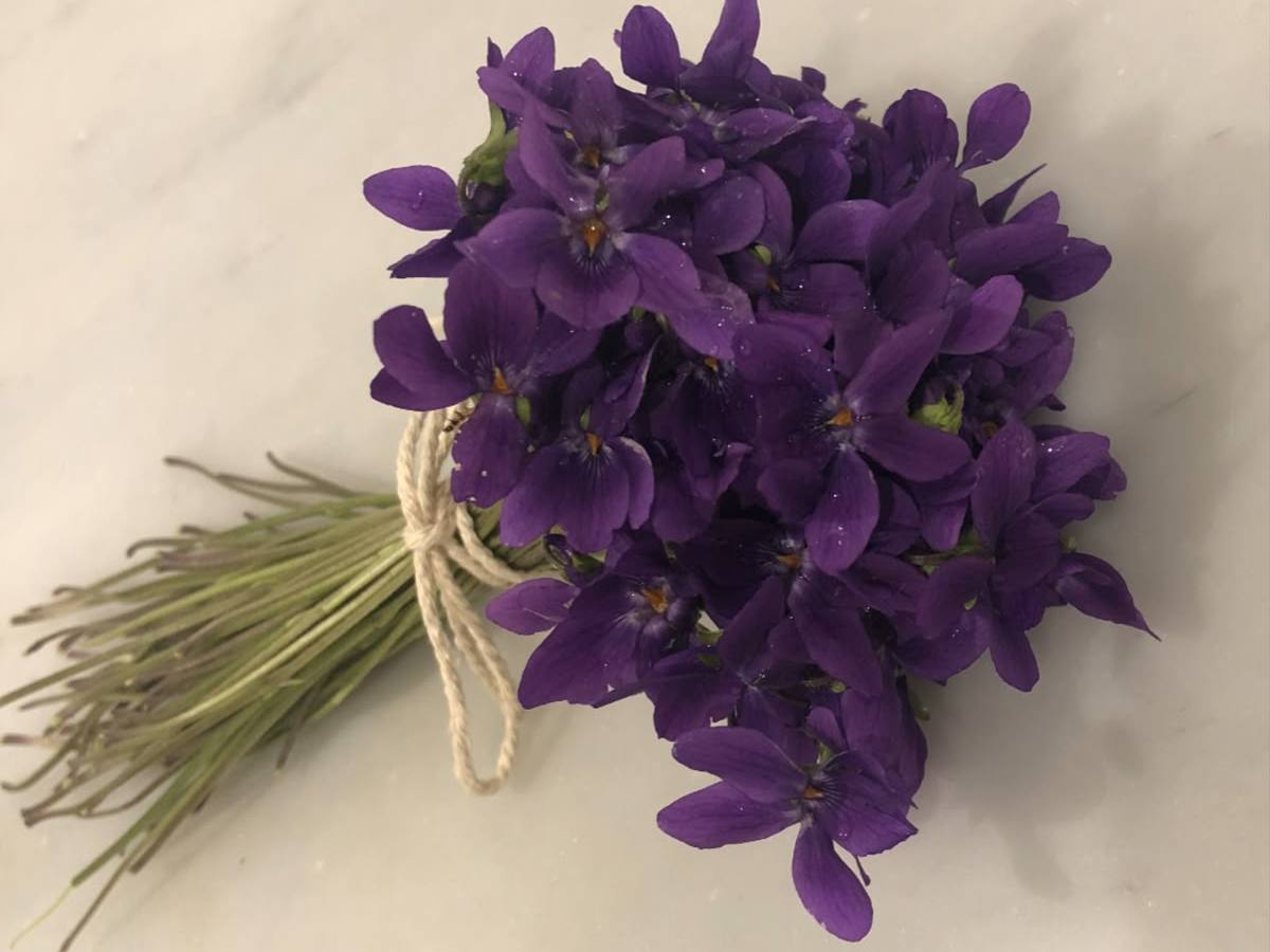 Purple Threads, Sweet Connections | An Interview with Sandy&nbsp;Chase