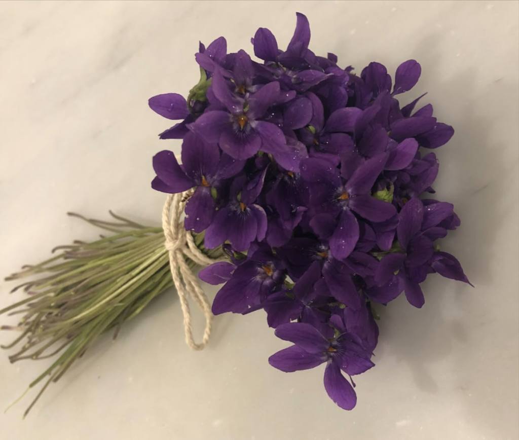 Purple Threads, Sweet Connections | An Interview with Sandy&nbsp;Chase